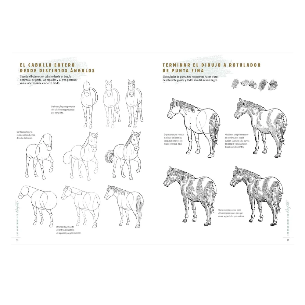 Los Cuadernos del Dibujante: Caballos y Ponis El Drac - Image 5