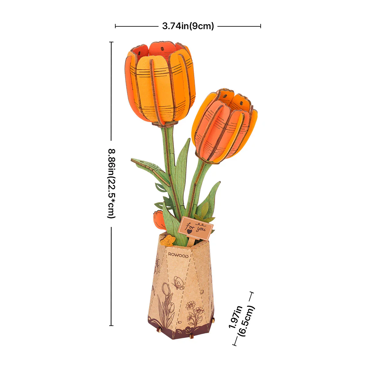 Maqueta Madera Tulipán Naranja Robotime - Image 6