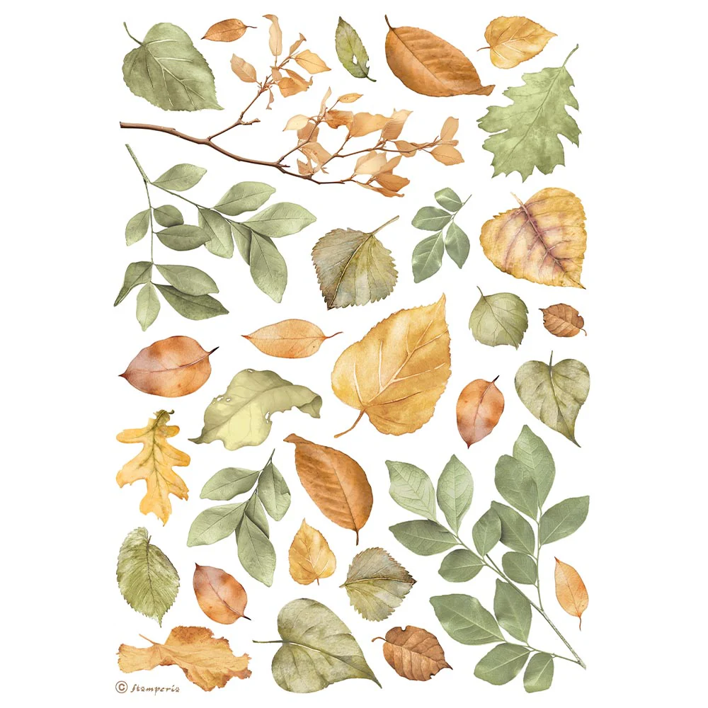 Papel de Arroz A4 Best Sellers Stamperia - Image 2