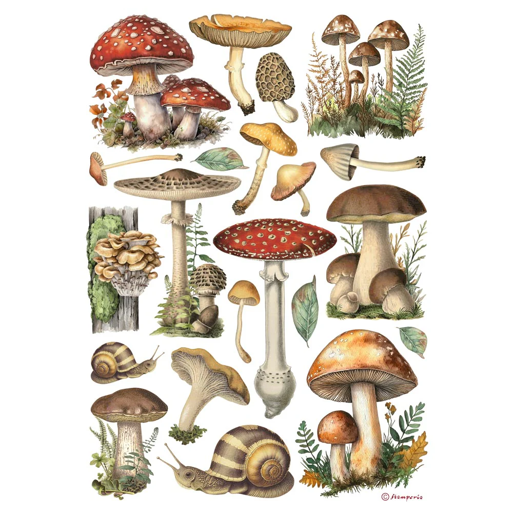 Papel de Arroz A4 Best Sellers Stamperia - Image 3