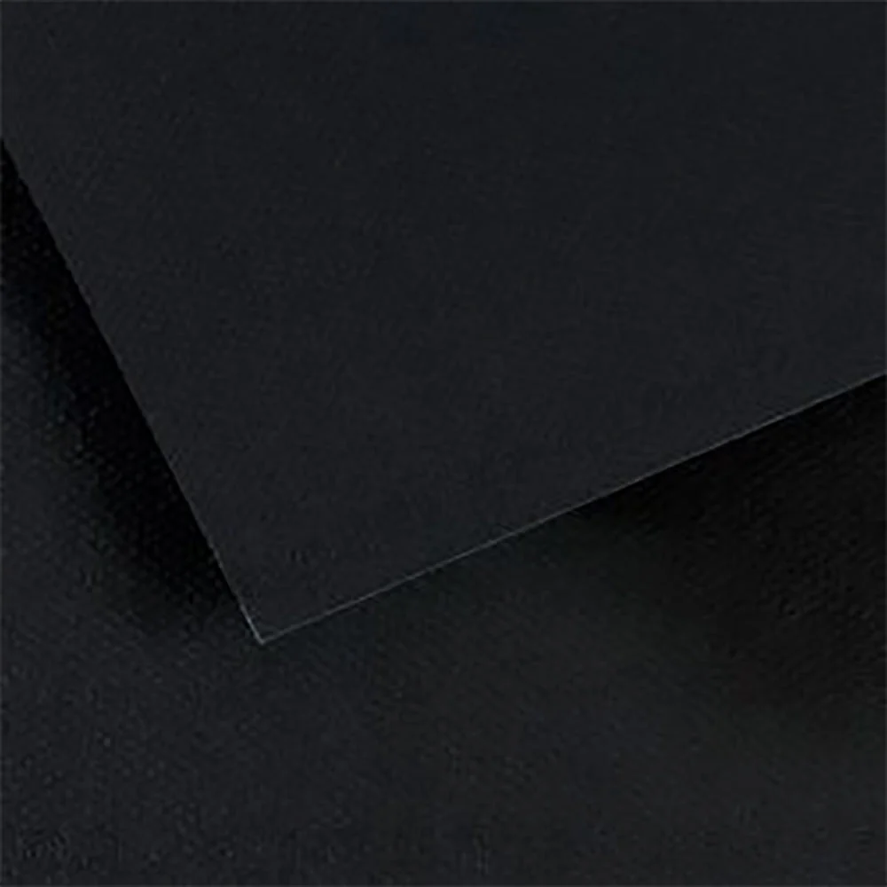 Papel Dibujo al Pastel Canson Mi-Teintes 160gr 50x65cm - Image 17