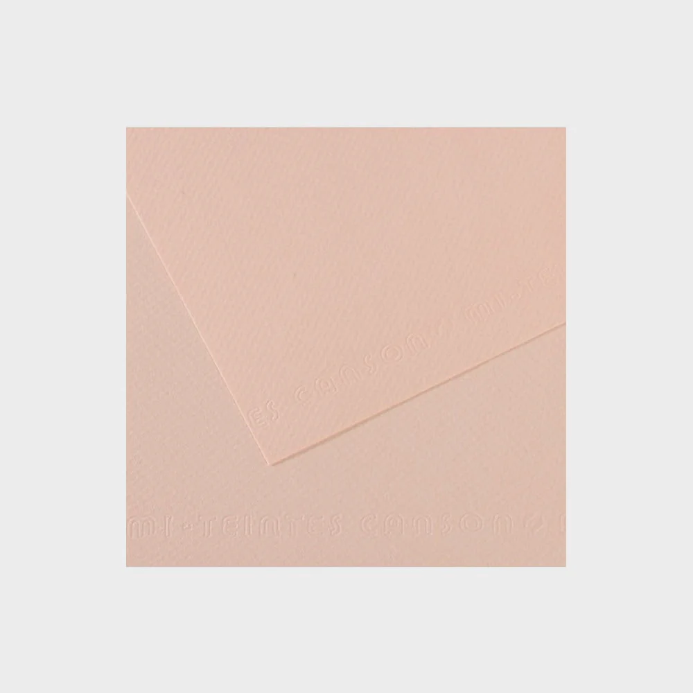 Papel Dibujo al Pastel Canson Mi-Teintes 160gr 50x65cm - Image 7