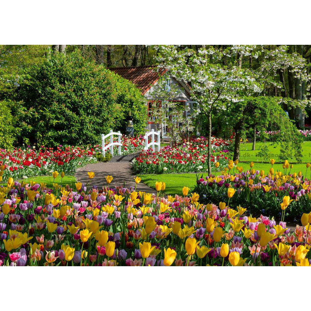 Puzzle 1000 Piezas Keukenhof Países Bajos Ravensburger - Image 2