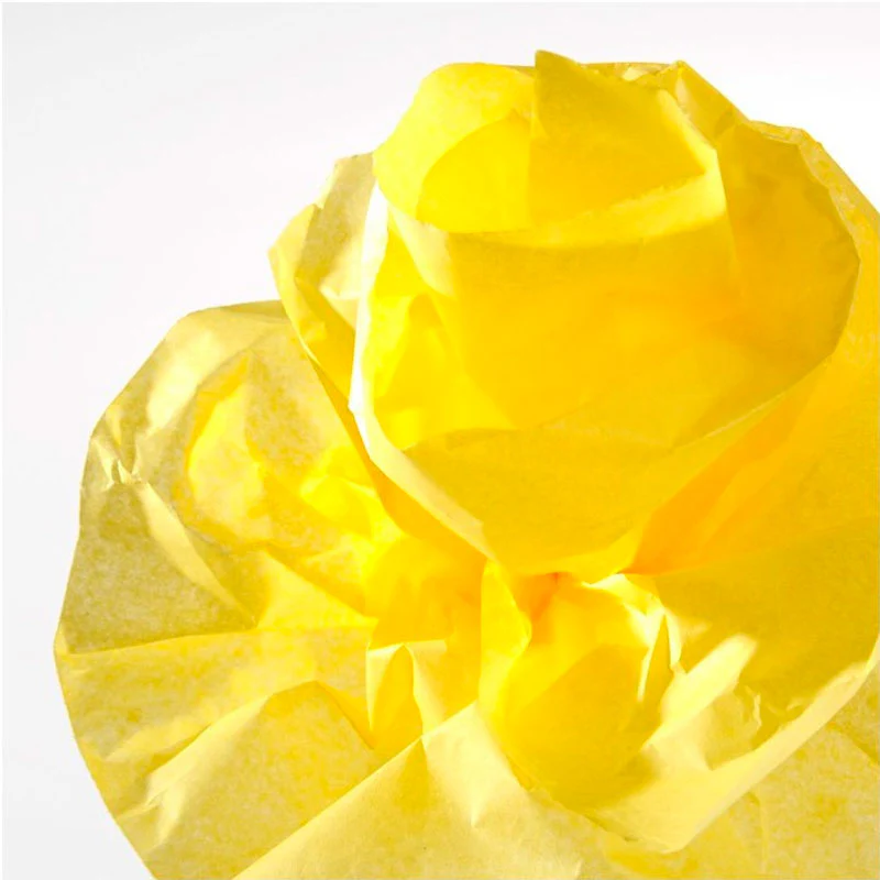 Rollo Papel de Seda 20gr 0,5x5m Canson - Image 3