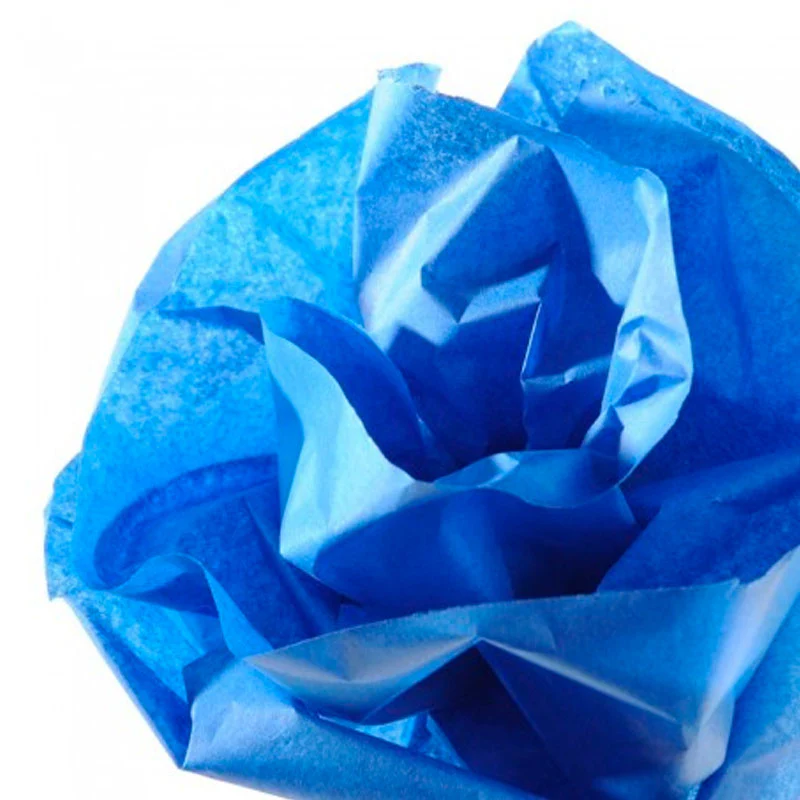 Rollo Papel de Seda 20gr 0,5x5m Canson - Image 7