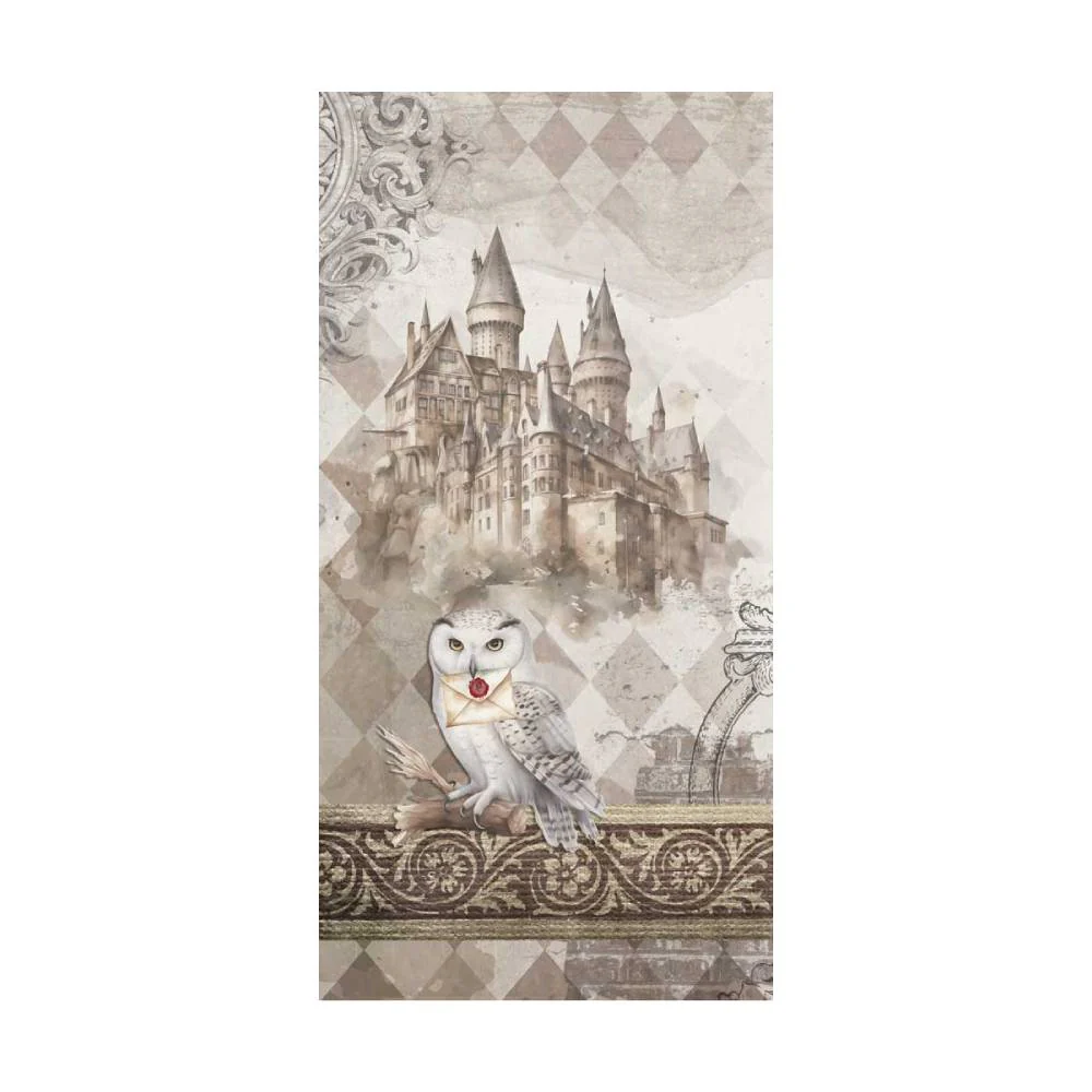 Set 10 Papeles Scrap 15x30 Wizarding Adventure II - Image 3
