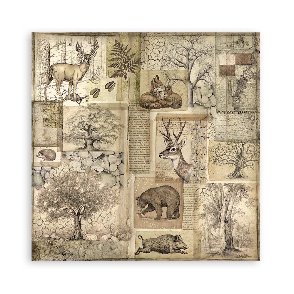 Set 22 Papeles Scrap Forest 30,5x30,5 Una Cara Stamperia - Image 10