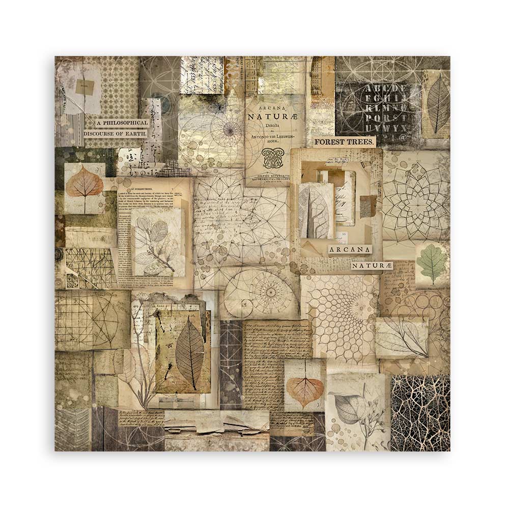 Set 22 Papeles Scrap Forest 30,5x30,5 Una Cara Stamperia - Image 12