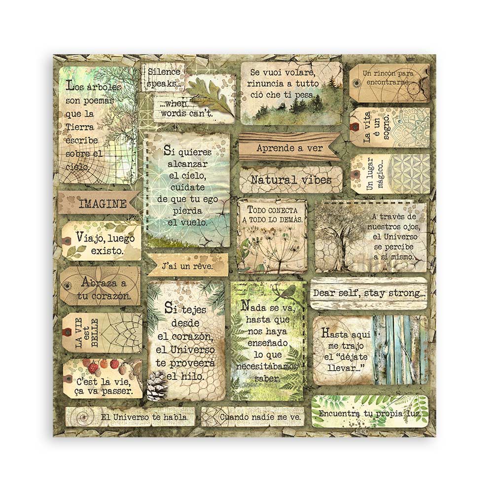 Set 22 Papeles Scrap Forest 30,5x30,5 Una Cara Stamperia - Image 13
