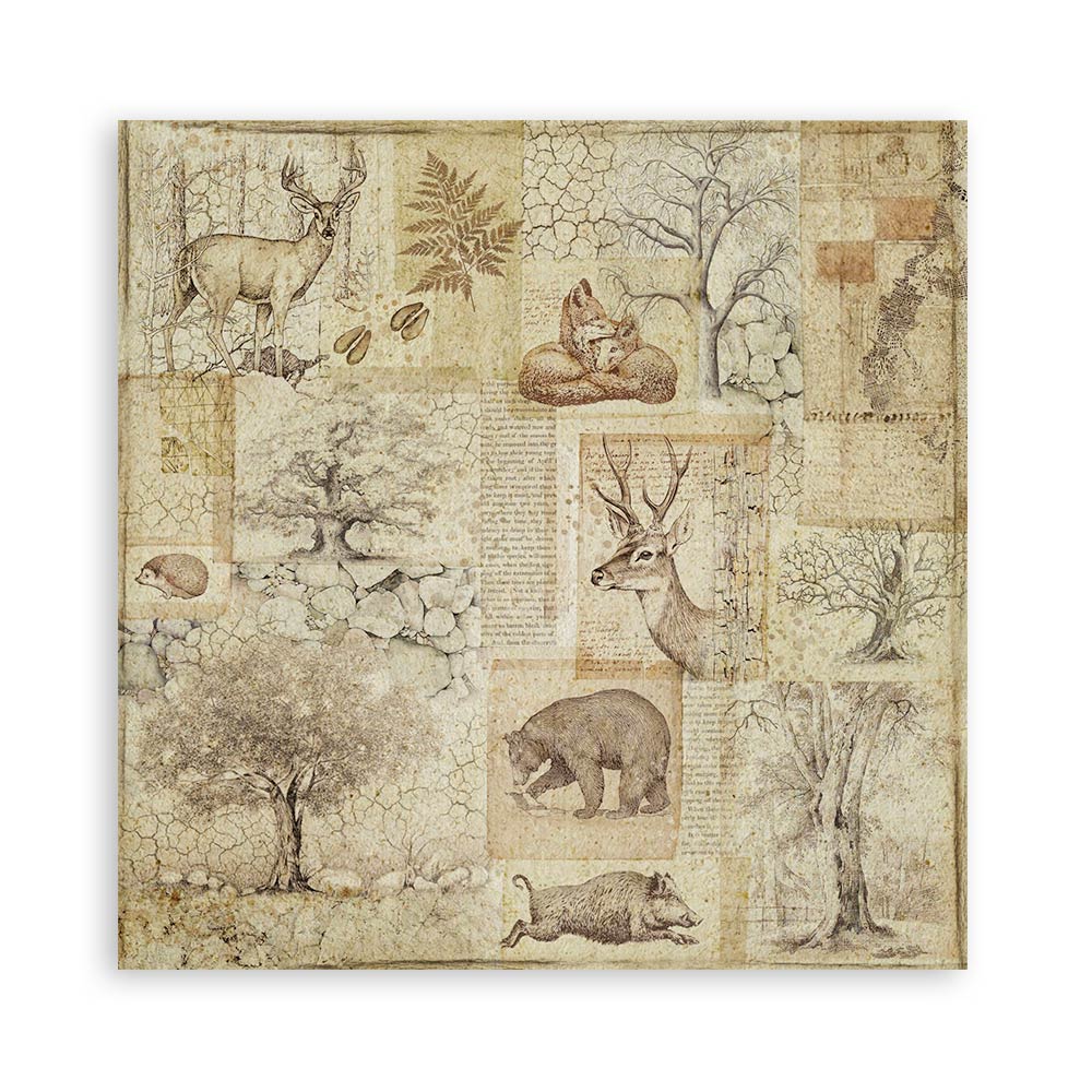 Set 22 Papeles Scrap Forest 30,5x30,5 Una Cara Stamperia - Image 16
