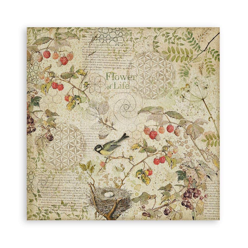 Set 22 Papeles Scrap Forest 30,5x30,5 Una Cara Stamperia - Image 17