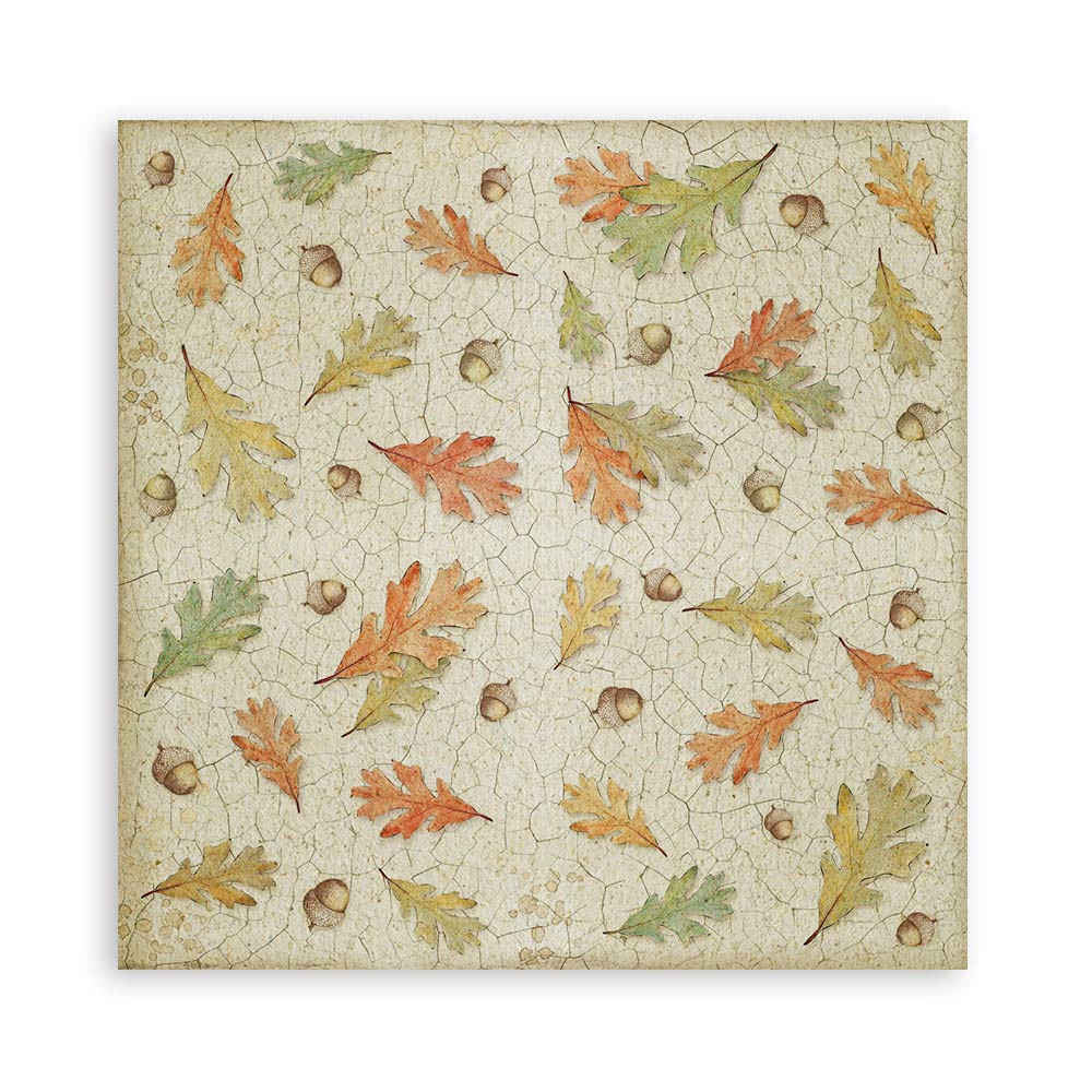 Set 22 Papeles Scrap Forest 30,5x30,5 Una Cara Stamperia - Image 18