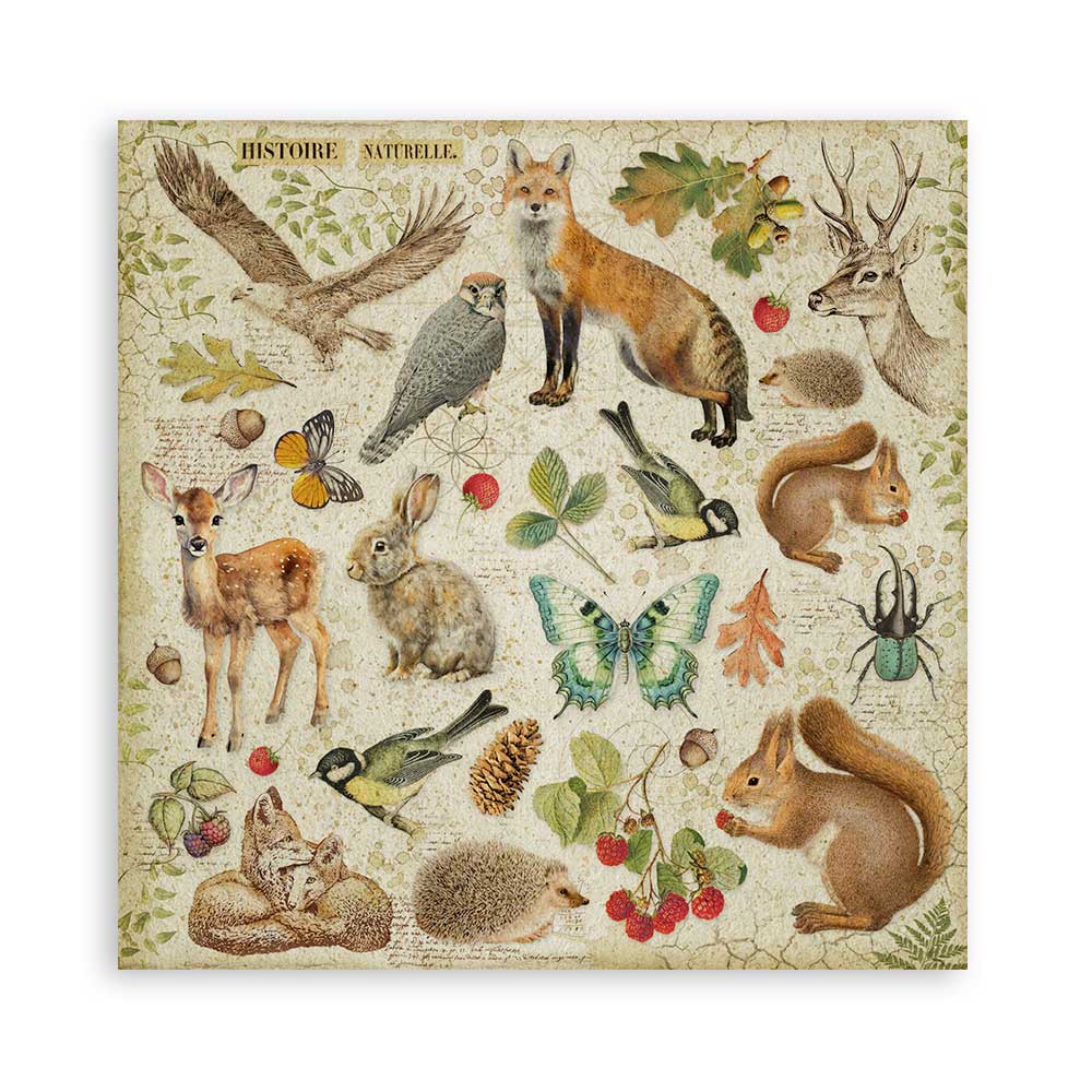 Set 22 Papeles Scrap Forest 30,5x30,5 Una Cara Stamperia - Image 21