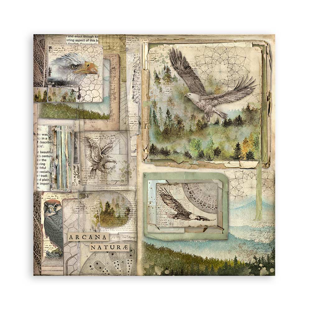Set 22 Papeles Scrap Forest 30,5x30,5 Una Cara Stamperia - Image 3