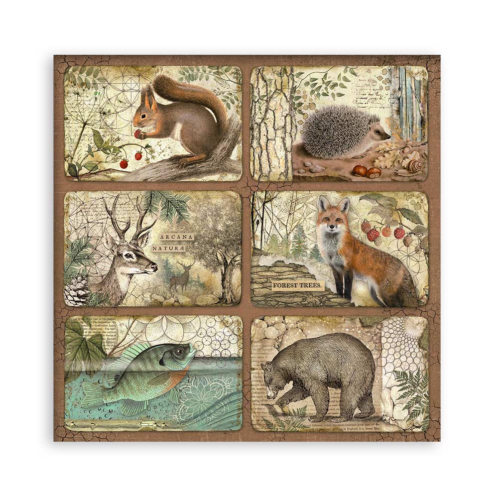Set 22 Papeles Scrap Forest 30,5x30,5 Una Cara Stamperia - Image 6