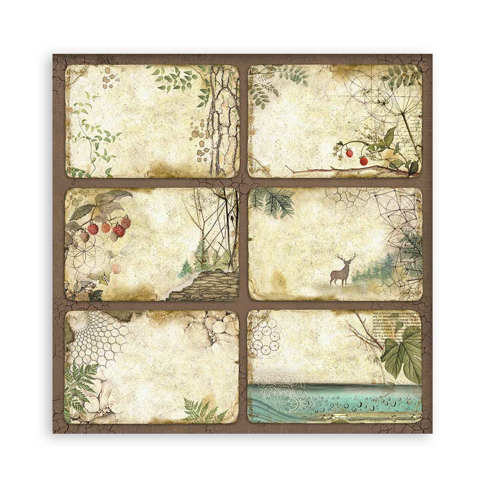 Set 22 Papeles Scrap Forest 30,5x30,5 Una Cara Stamperia - Image 7