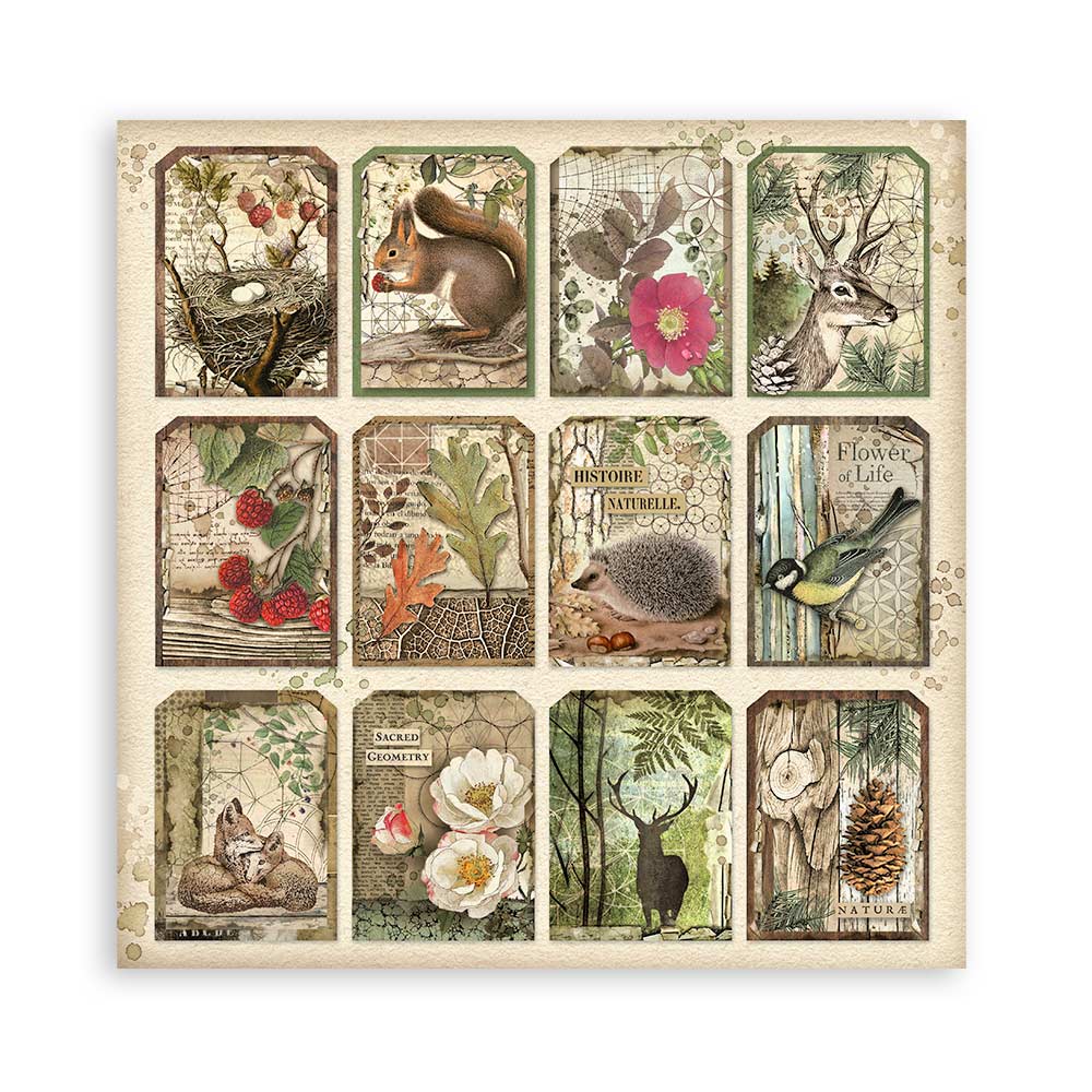 Set 22 Papeles Scrap Forest 30,5x30,5 Una Cara Stamperia - Image 8