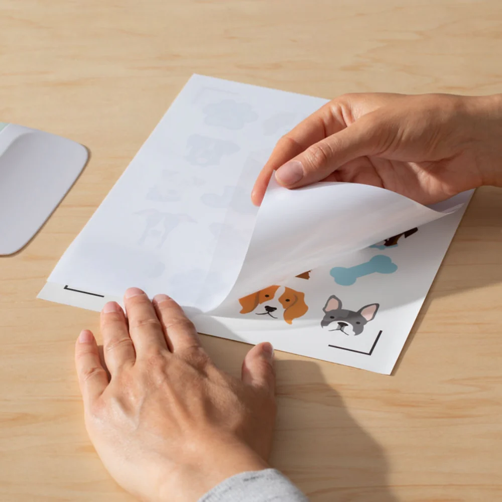 Set 6 Pegatinas Impermeables Transparente 21x29,7 Cricut Joy Xtra/Maker/Explore - Image 7