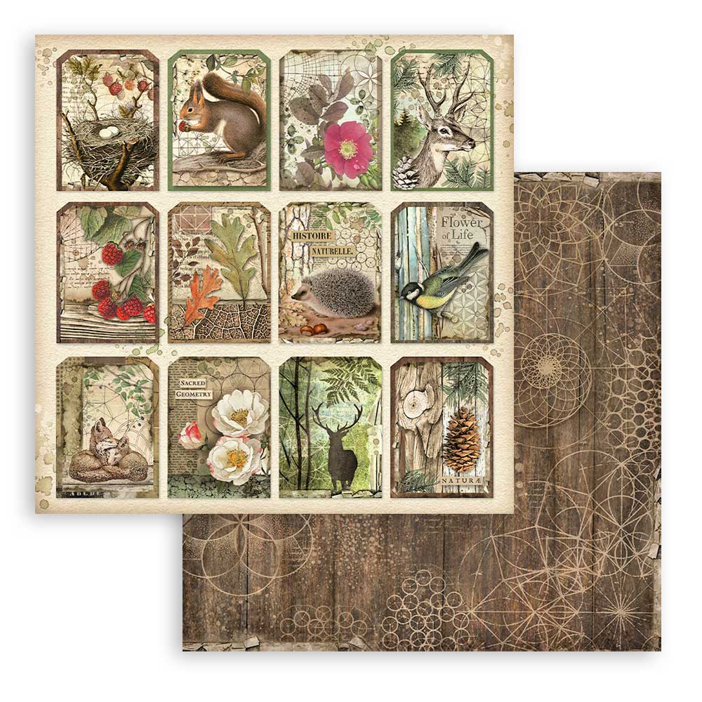 Set Papeles Scrap Forest 12x12 Stamperia - Image 10