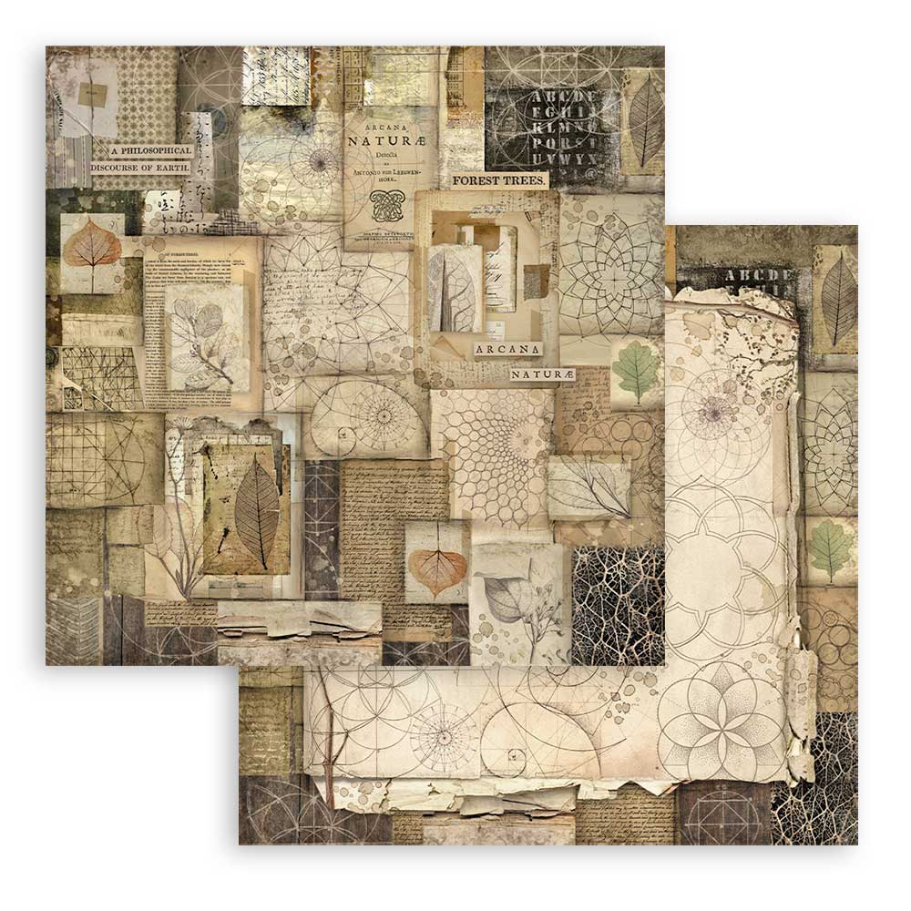 Set Papeles Scrap Forest 12x12 Stamperia - Image 11
