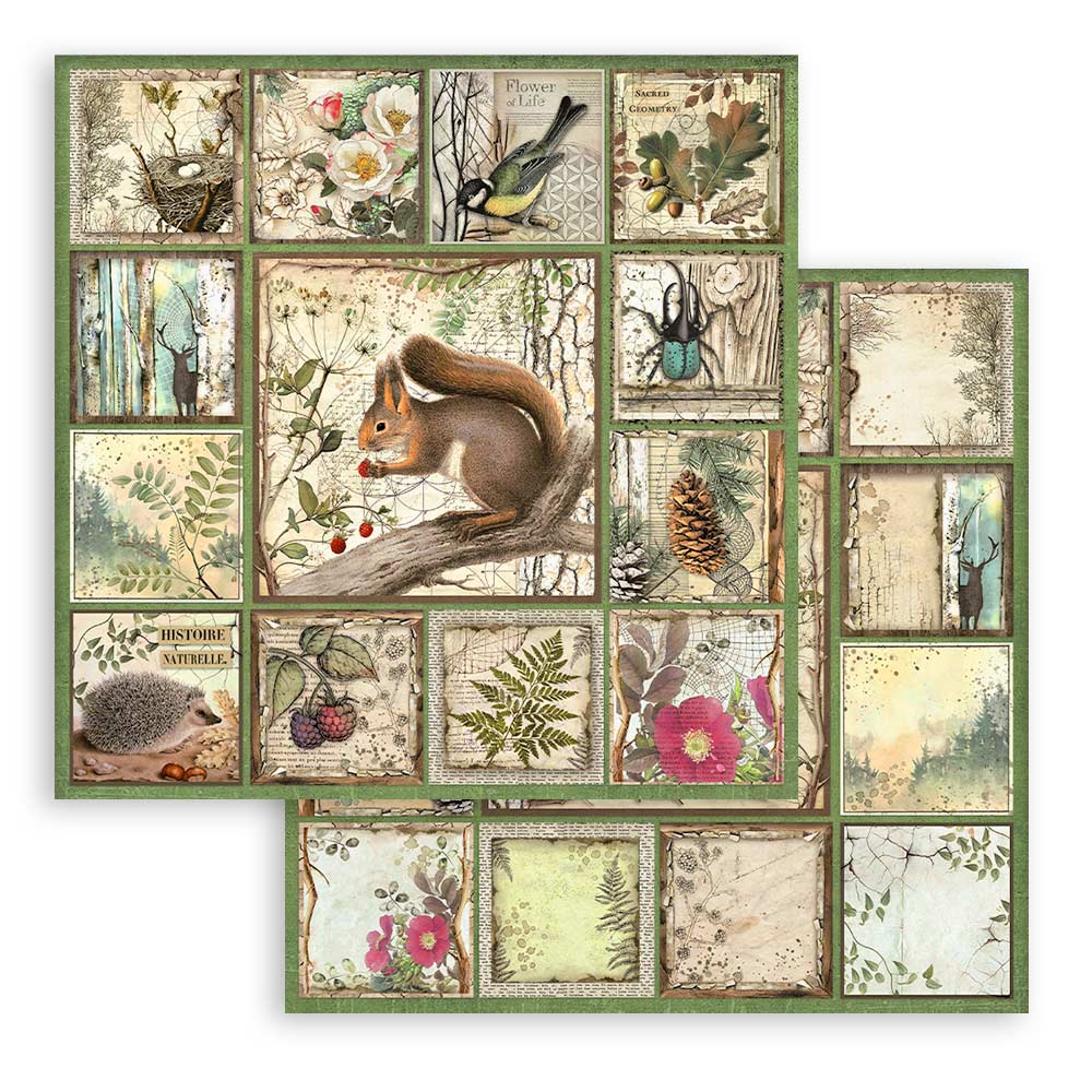 Set Papeles Scrap Forest 12x12 Stamperia - Image 2