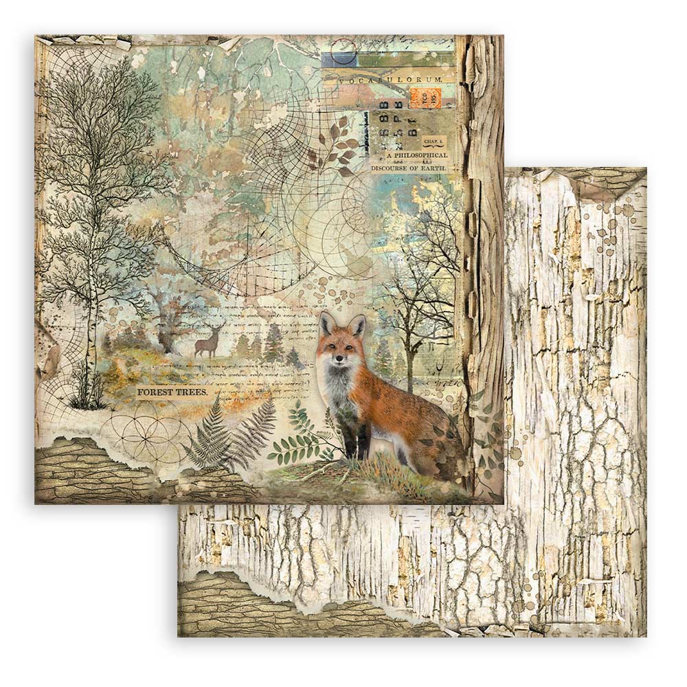 Set Papeles Scrap Forest 12x12 Stamperia - Image 3