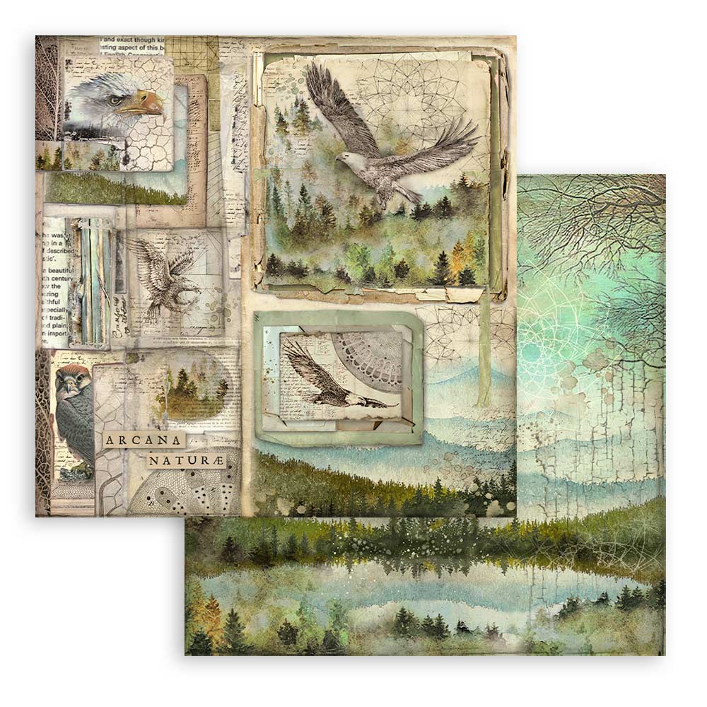 Set Papeles Scrap Forest 12x12 Stamperia - Image 4