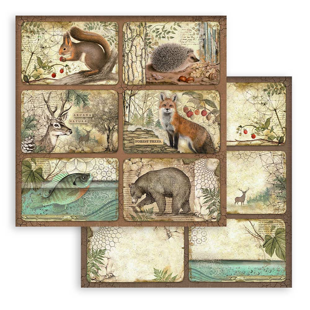 Set Papeles Scrap Forest 12x12 Stamperia - Image 5