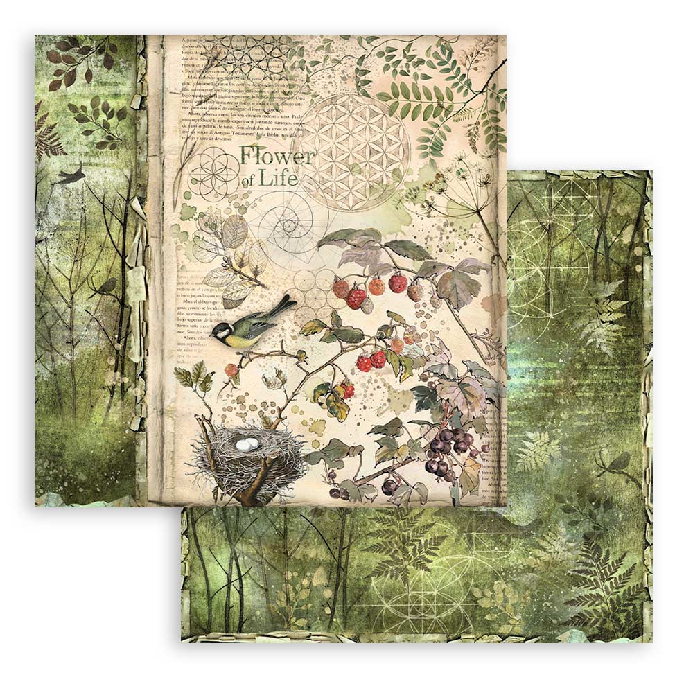 Set Papeles Scrap Forest 12x12 Stamperia - Image 7