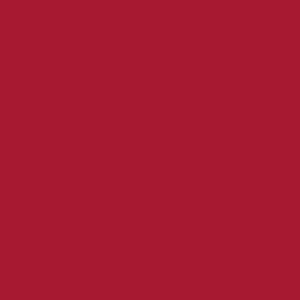 Vinilo Smart Iron-On Termotransferible Rojo 24x61 Cricut Joy Xtra - Image 3